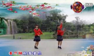 叶子广场舞又见山里红