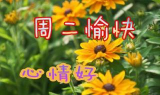 四个月字叠一起念什么