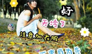 四个月字叠一起念什么