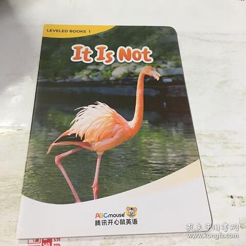 【儿童英语乐园,儿童英语乐园节目】