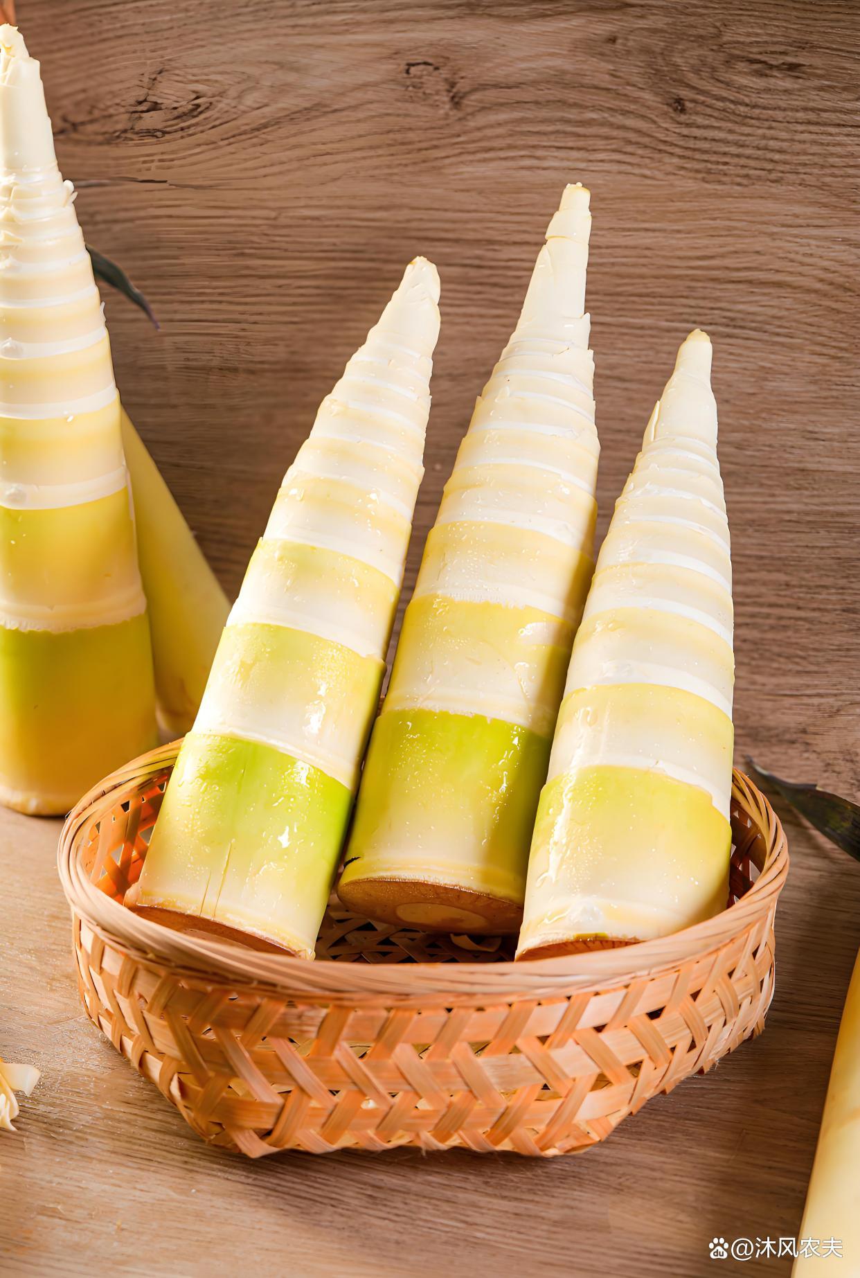 【鲜竹笋的做法,鲜竹笋的做法大全家常】