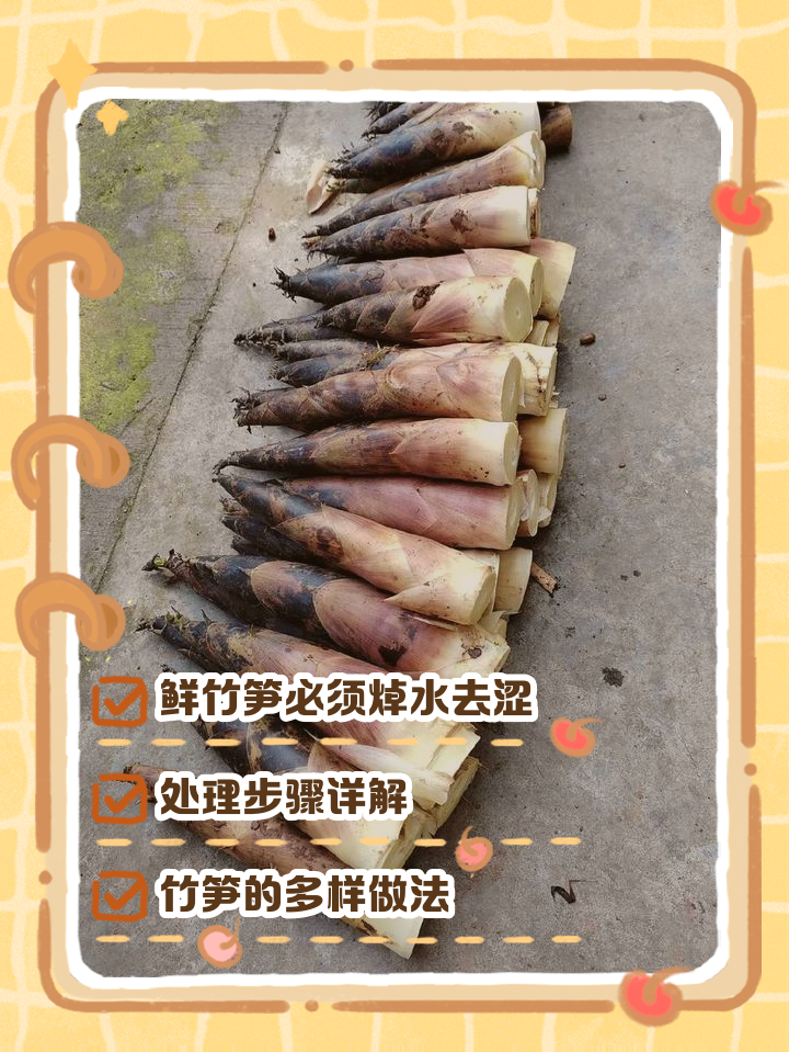 【鲜竹笋的做法,鲜竹笋的做法大全家常】