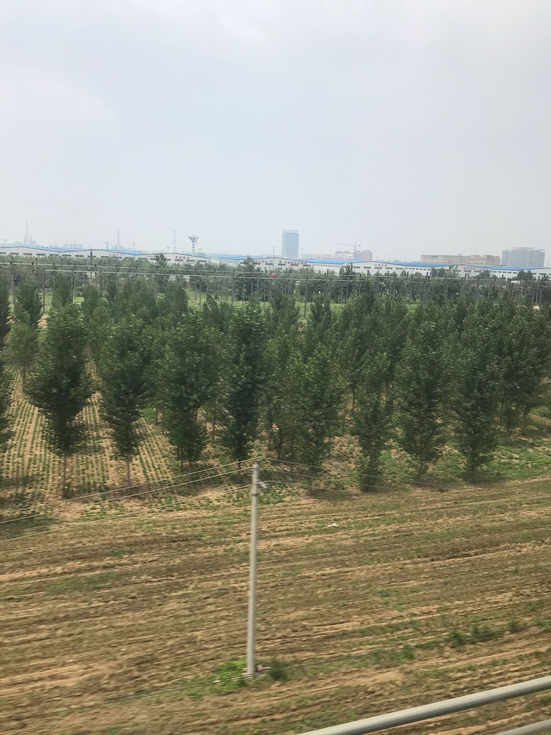 通许天气预报（河南通许2025杀人案例）