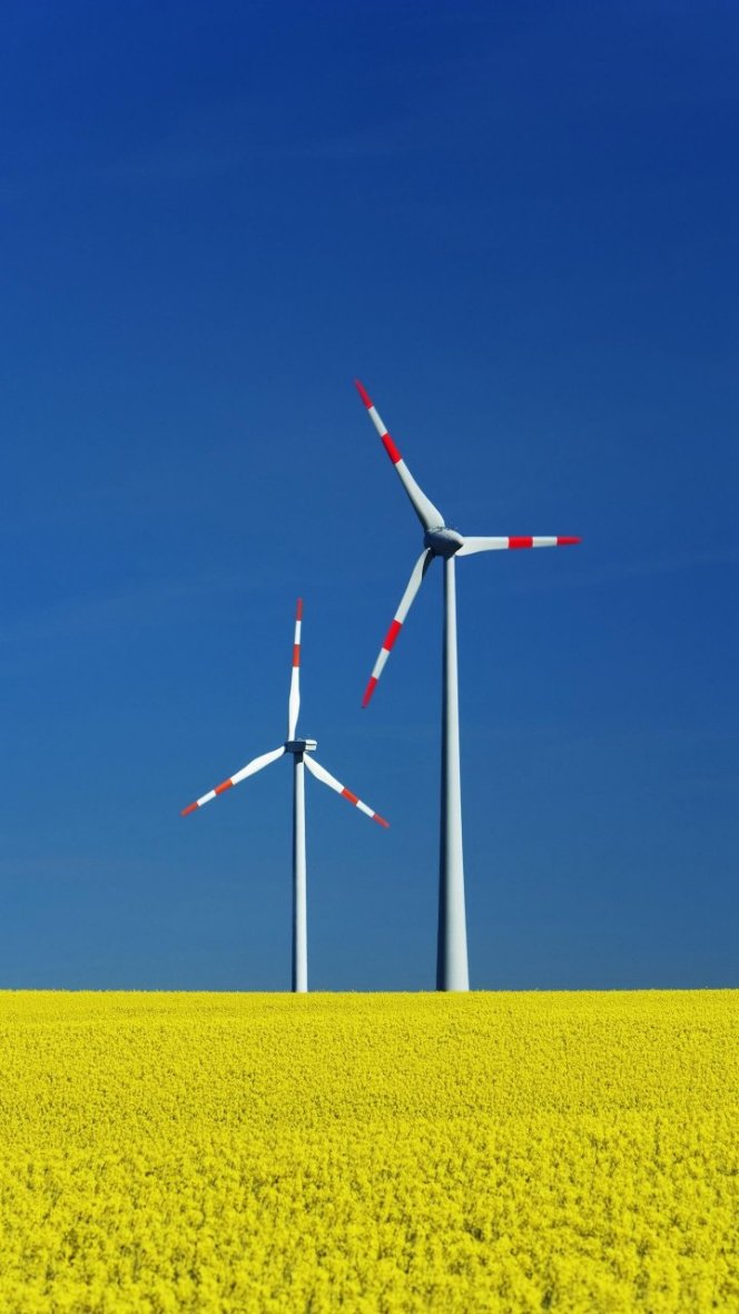 【神达手机,神达pda】