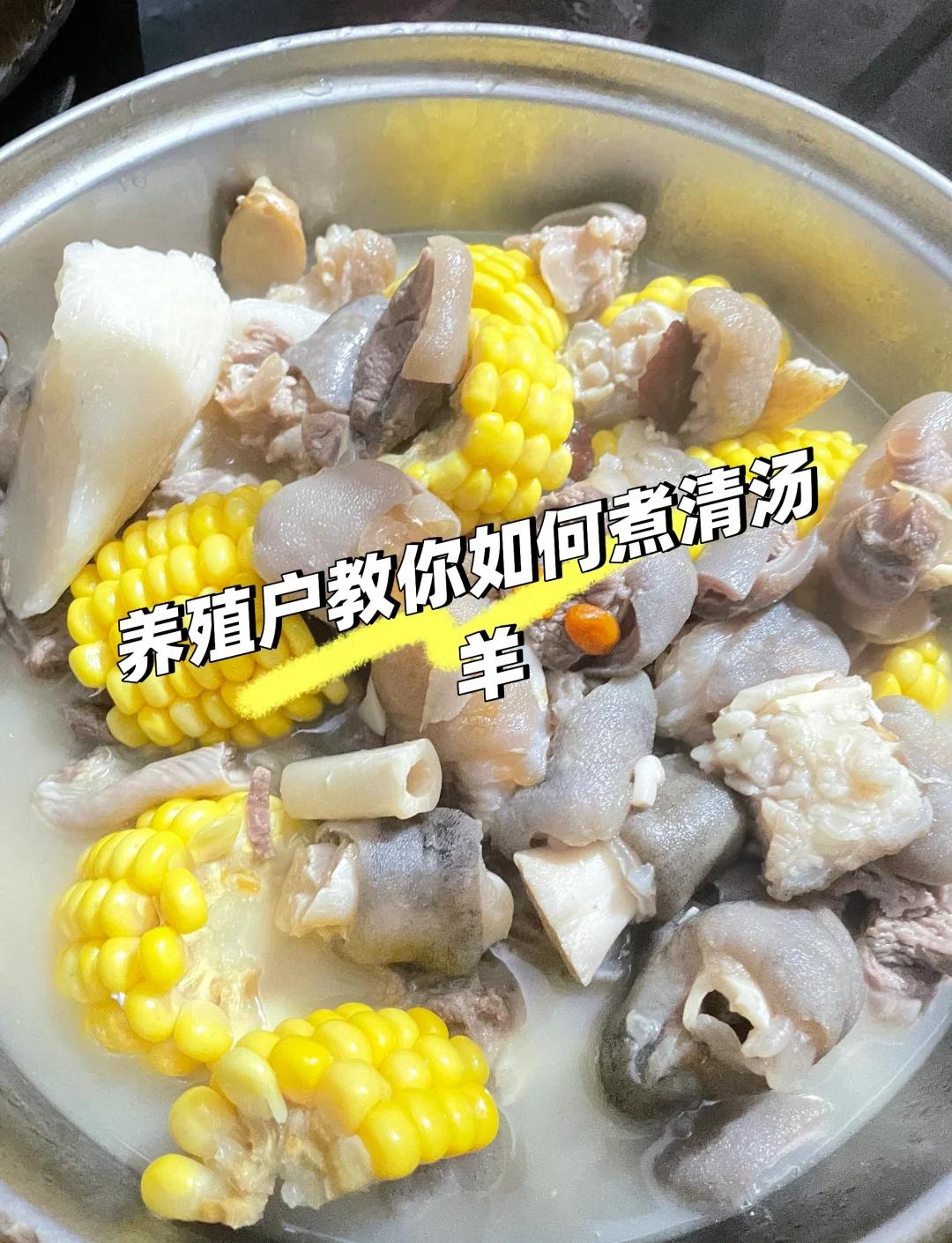 【羊汤的做法,在家自制羊汤的做法】