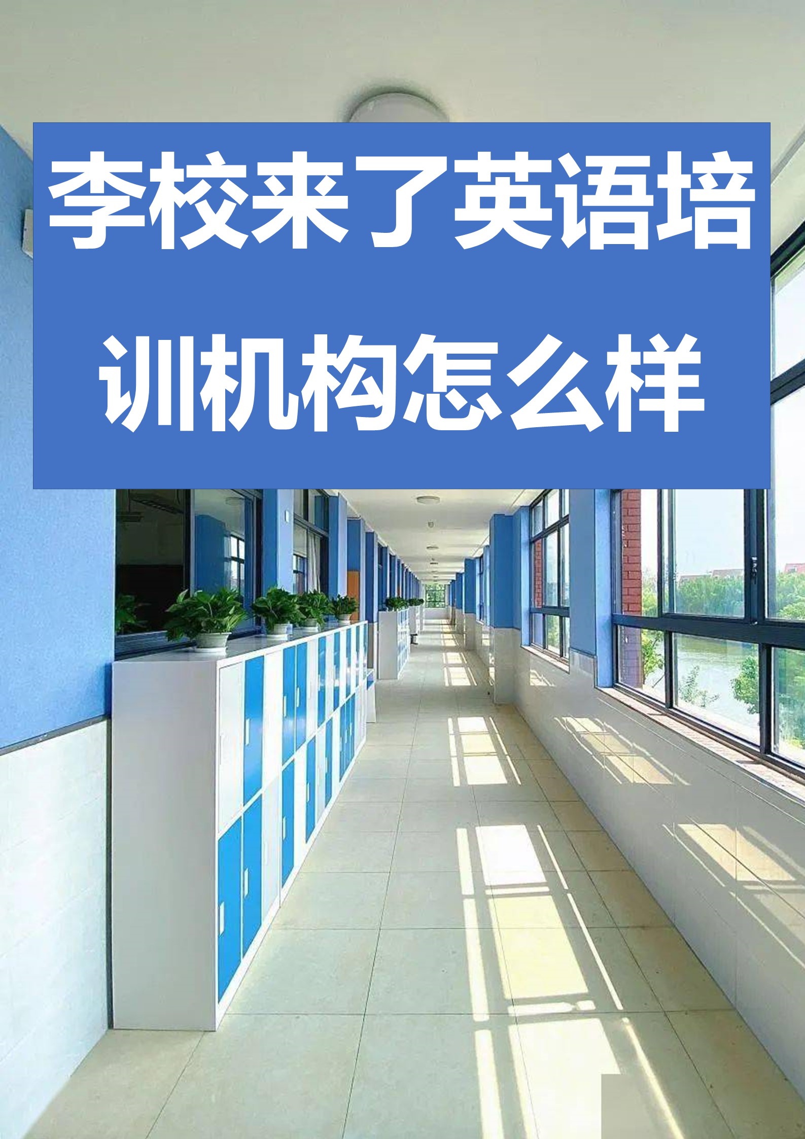 【培训机构英语,培训机构英语翻译】