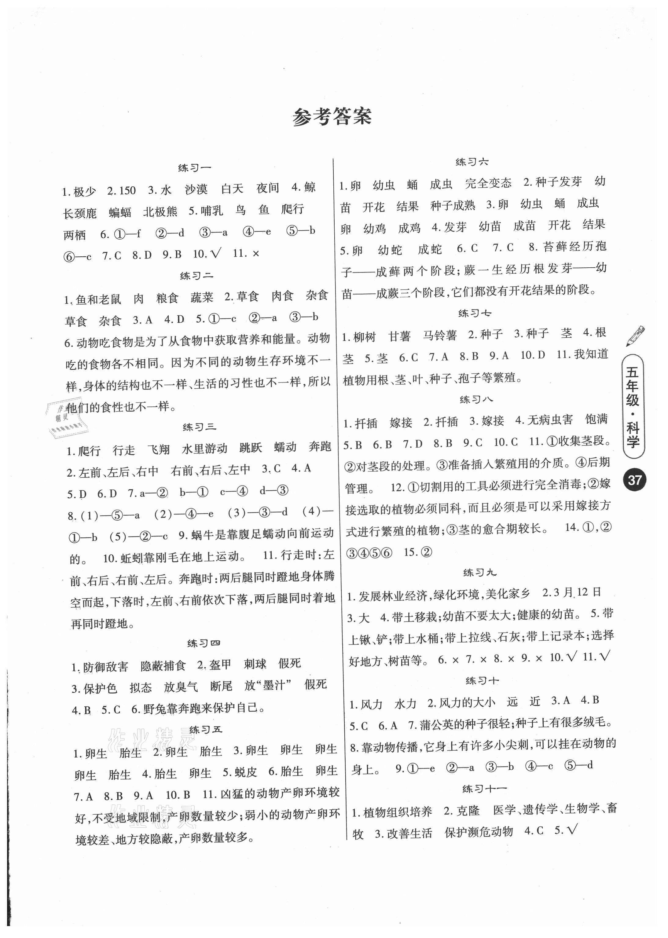 五年级暑假作业答案（五年级下册暑假作业答案人教版）