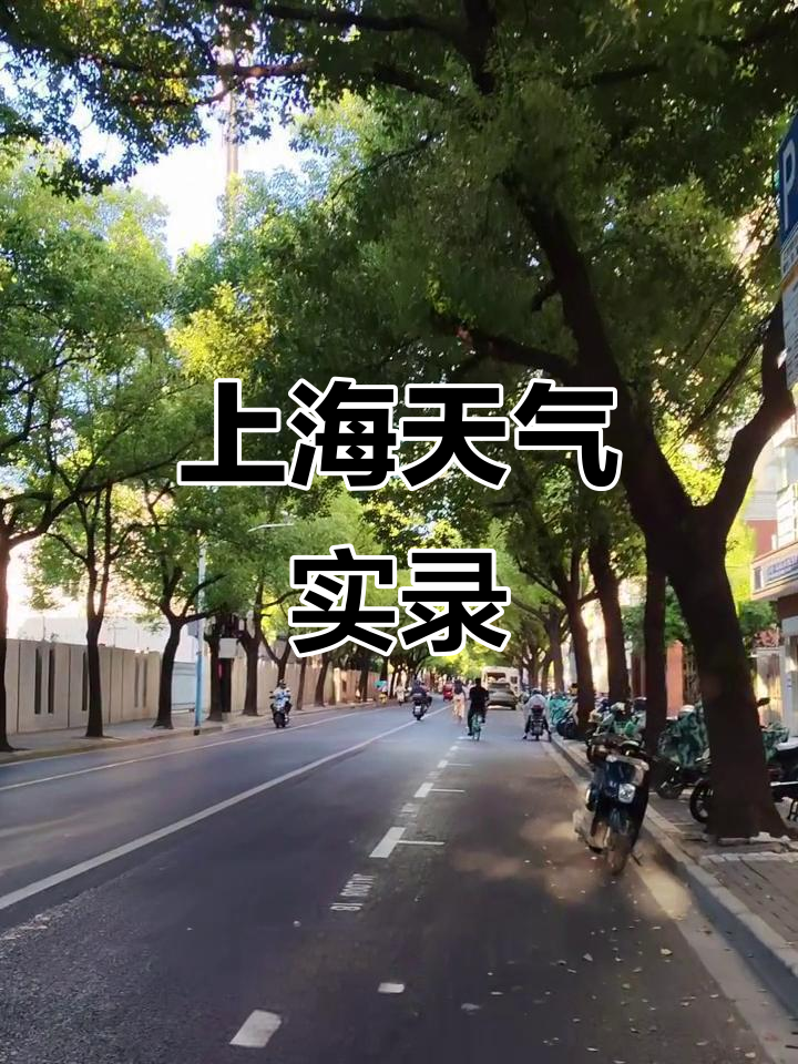 上海松江天气（上海松江天气预报15天一个月）