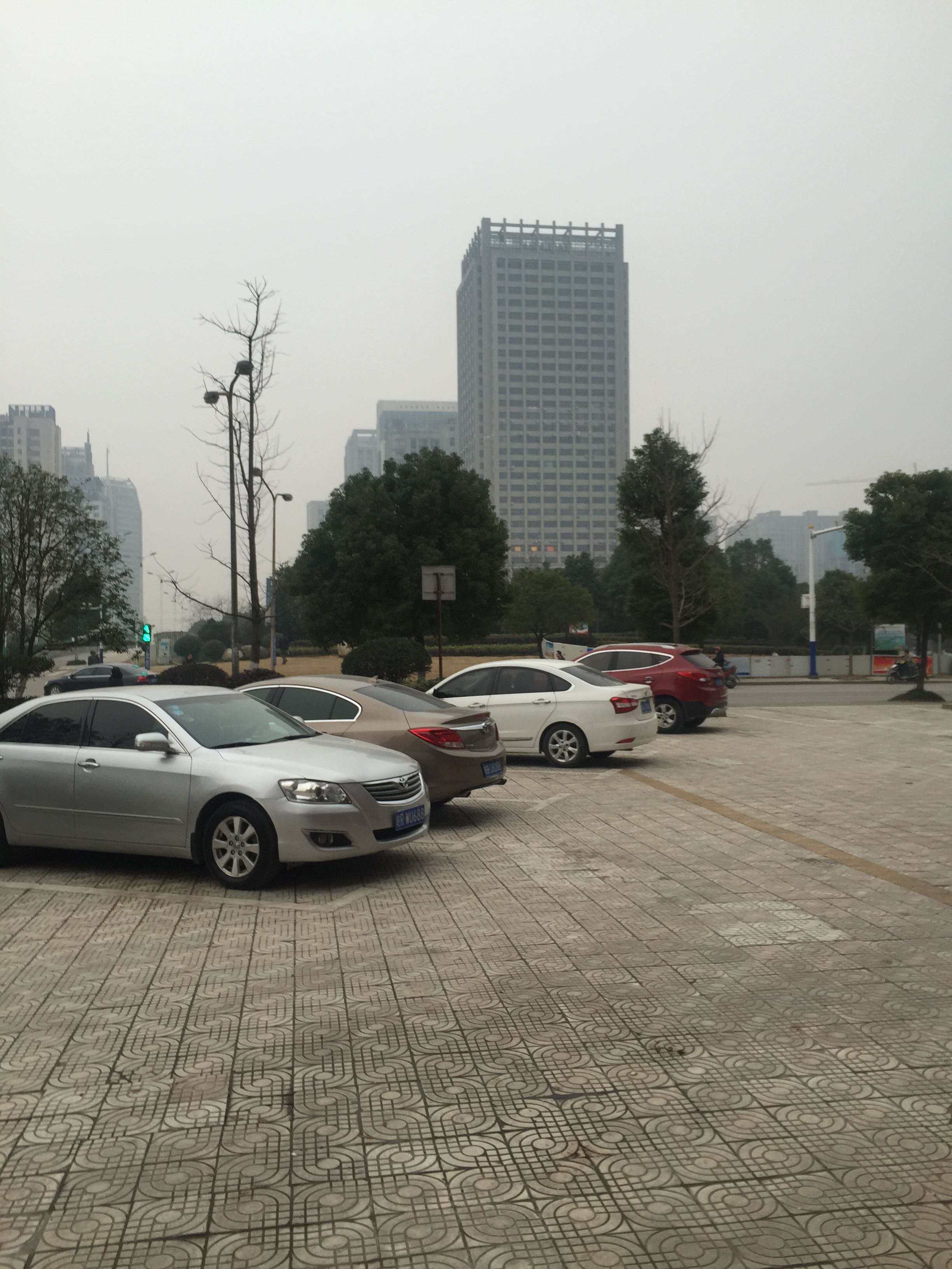 【池州天气预报,池州天气预报未来15天】