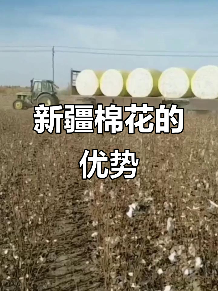【新疆棉花质量好,新疆棉花质量好吗?】