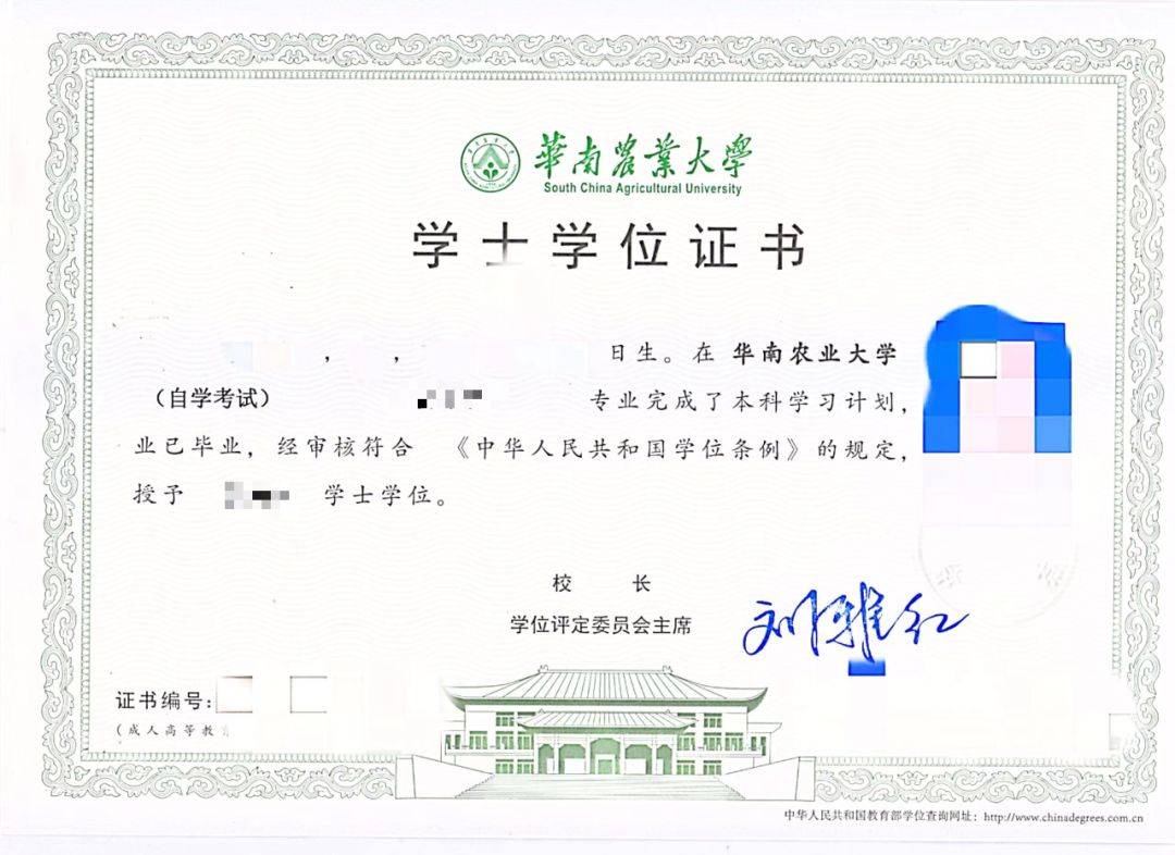 大专学历怎么自考/2024年成人高考报名入口官网