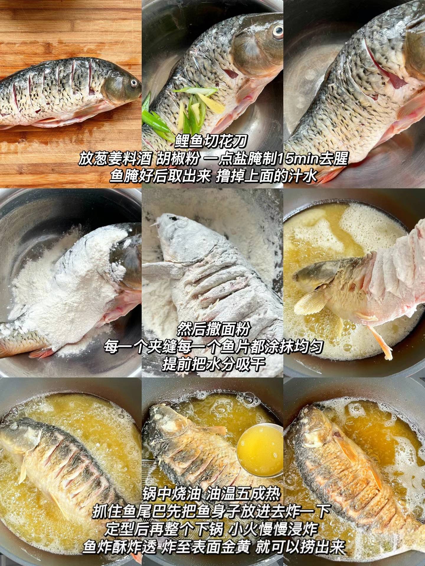 红烧鱼的做法和步骤/红烧鱼的做法和步骤图